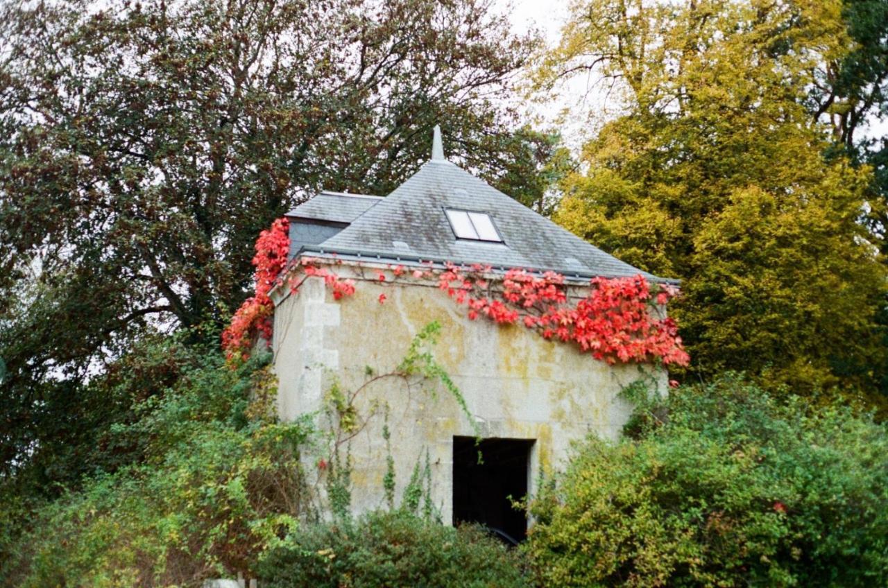 Chateau De La Huberdiere Bed & Breakfast Nazelles-Negron Exterior photo