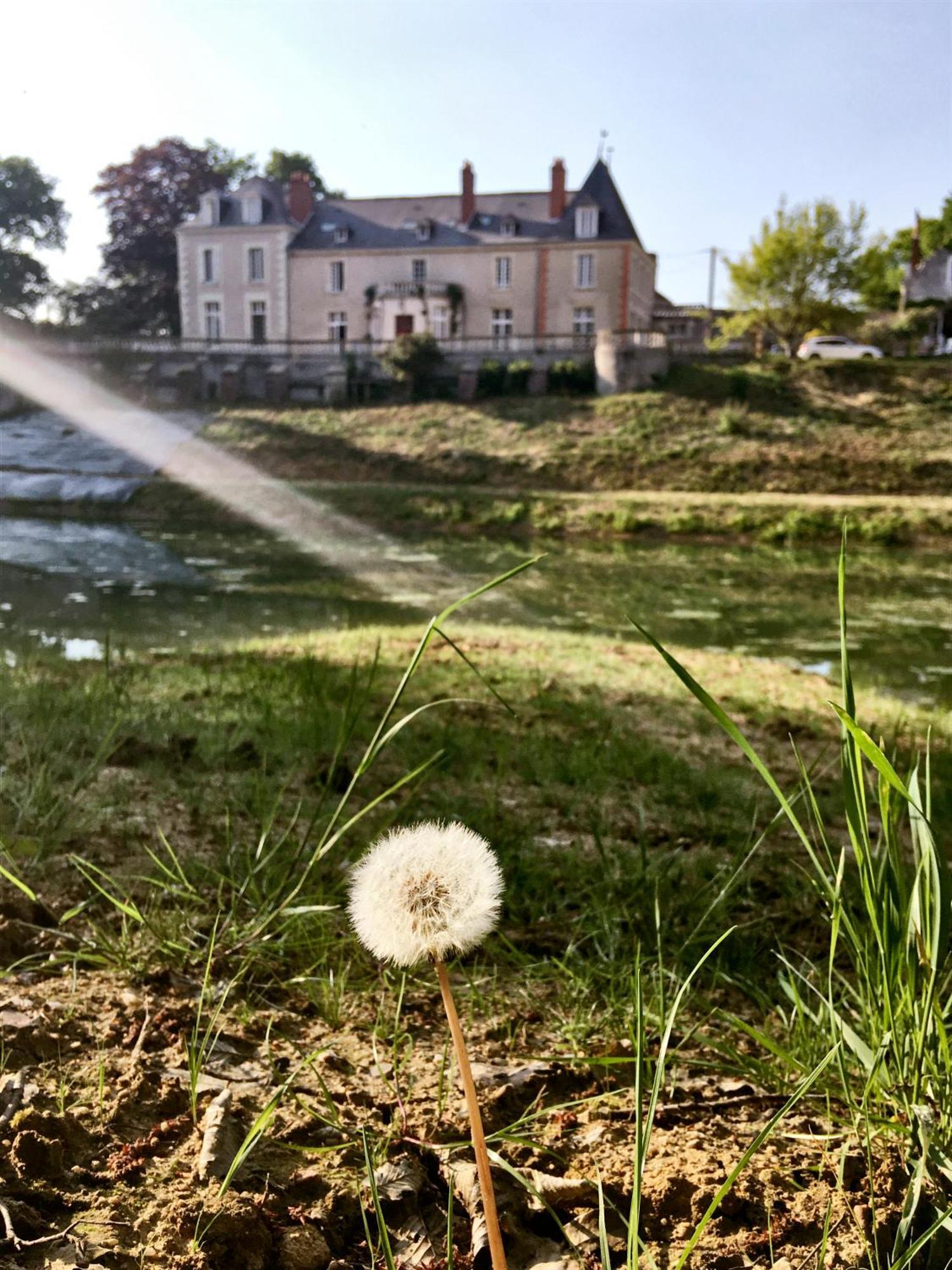 Chateau De La Huberdiere Bed & Breakfast Nazelles-Negron Exterior photo