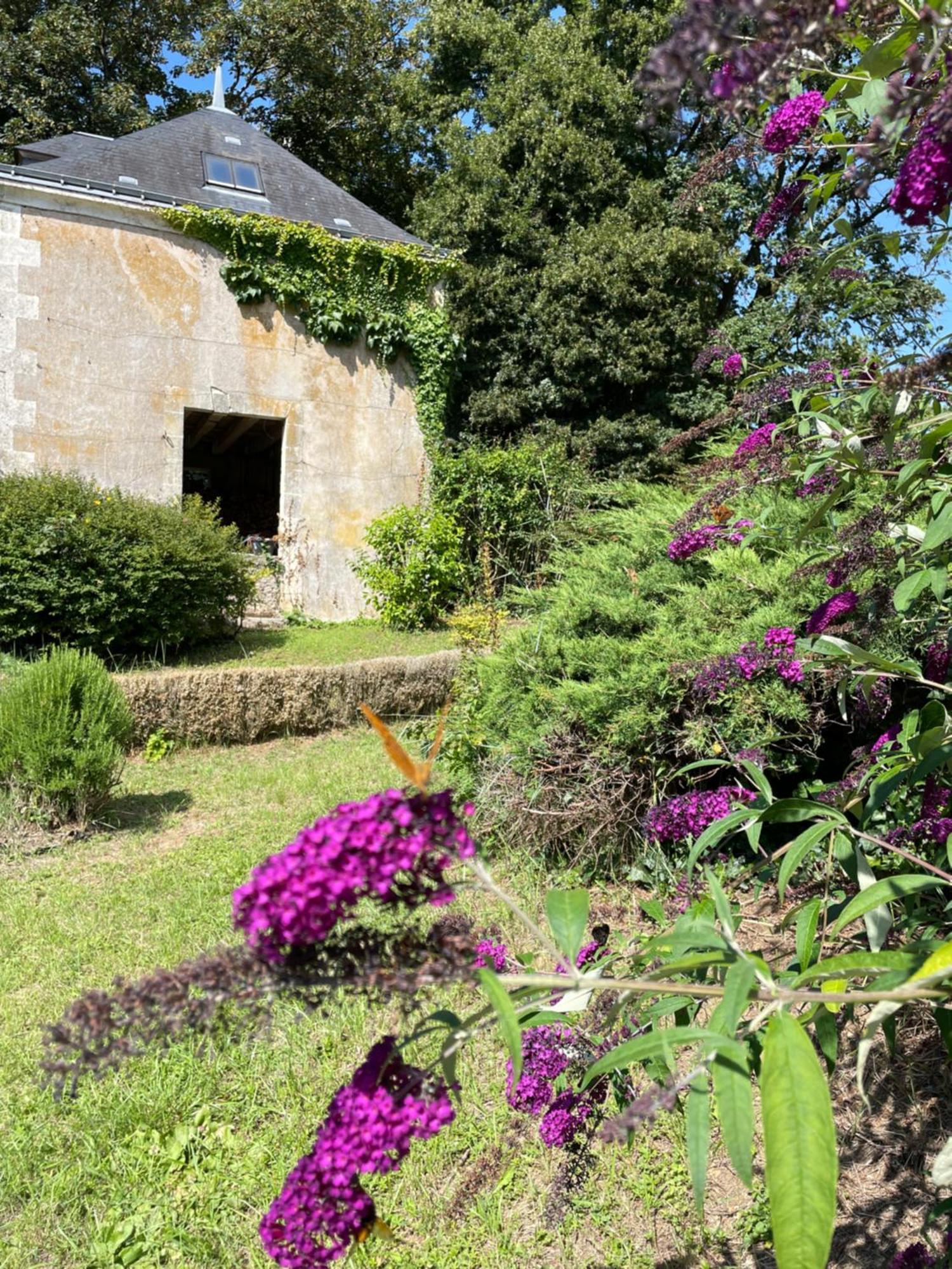 Chateau De La Huberdiere Bed & Breakfast Nazelles-Negron Exterior photo