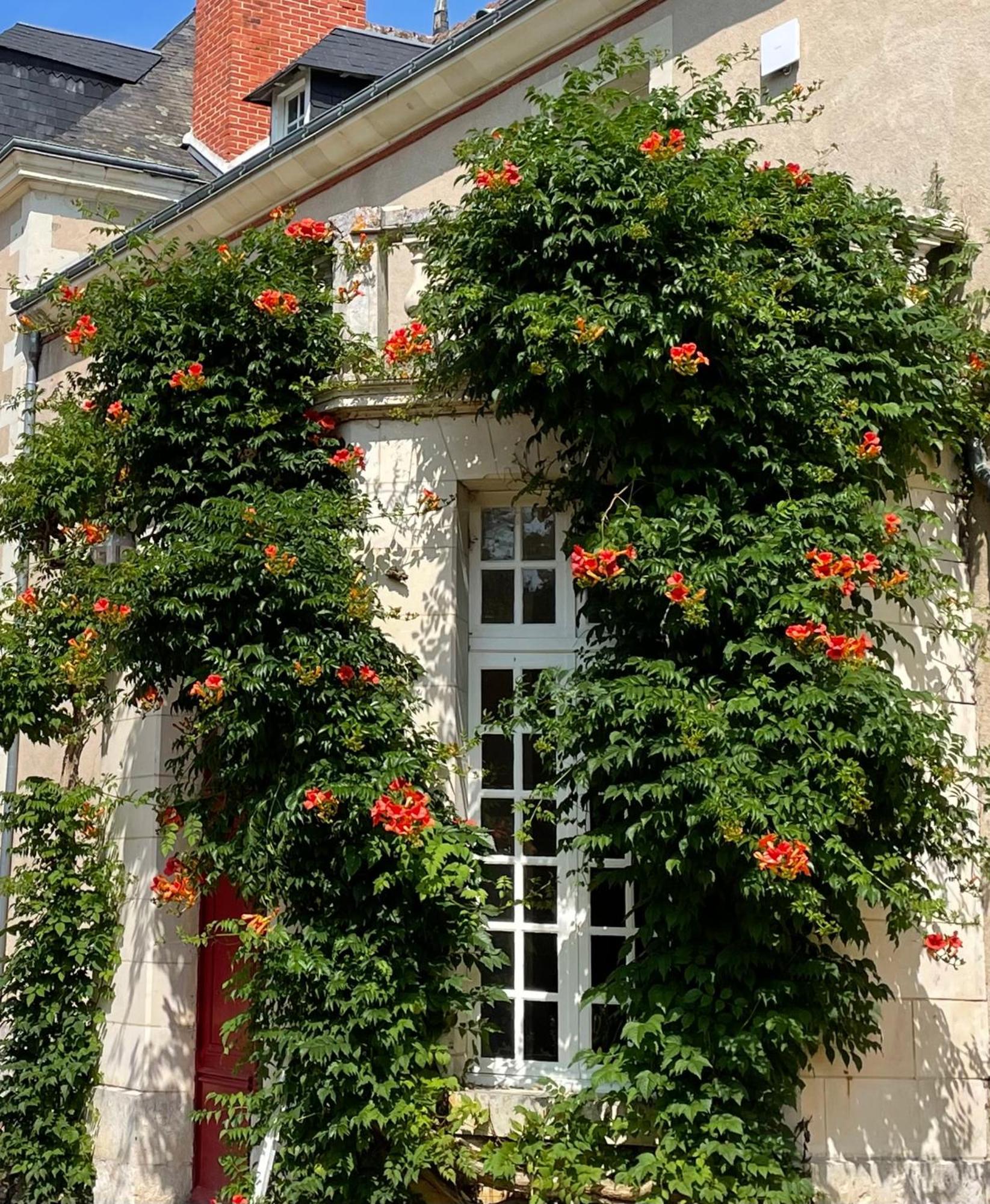 Chateau De La Huberdiere Bed & Breakfast Nazelles-Negron Exterior photo