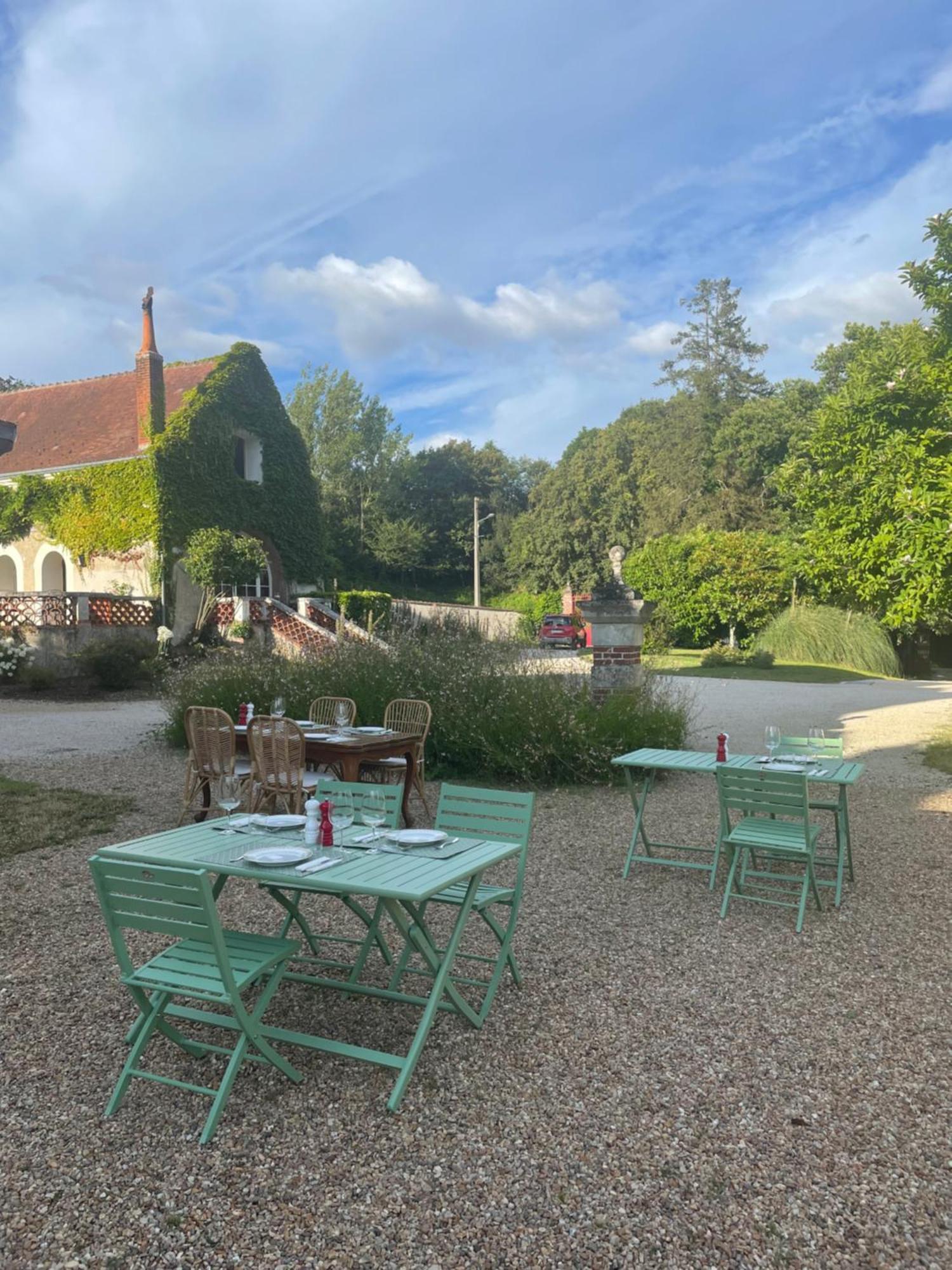 Chateau De La Huberdiere Bed & Breakfast Nazelles-Negron Exterior photo